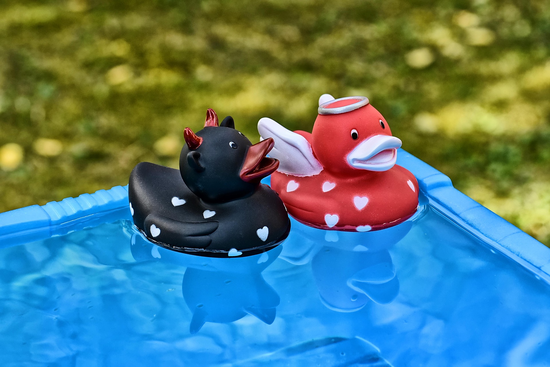 alexas_fotos-squeaky-ducks-3594734_1920